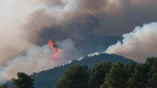 Catalunya, en fase de emergencia por los incendios forestales