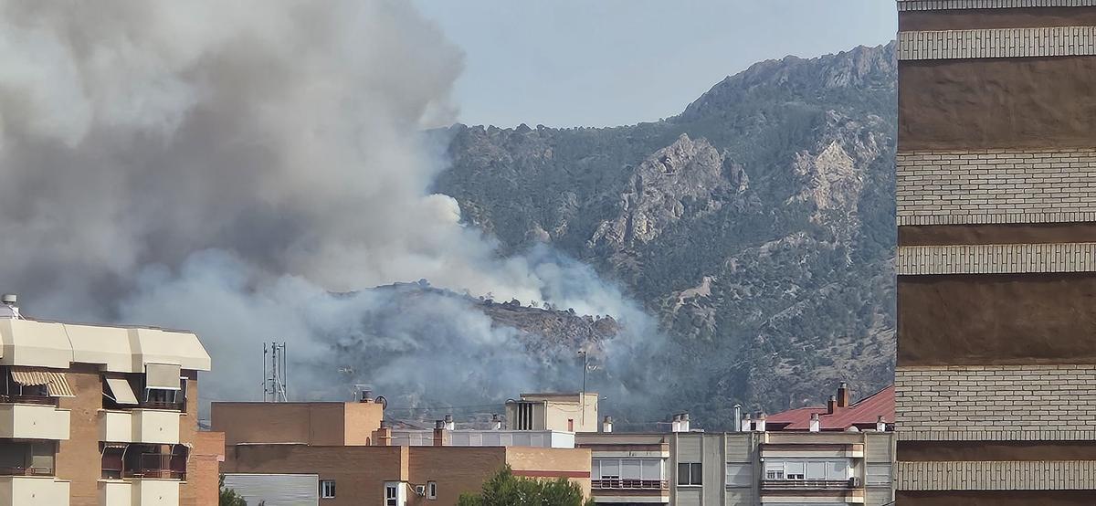 Las imágenes del grave incendio forestal en Los Garres (Murcia)