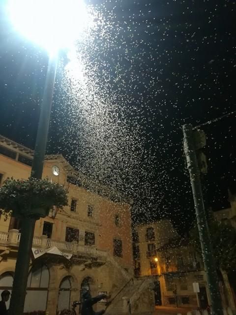 Plaga de papallones del boix a Ripoll