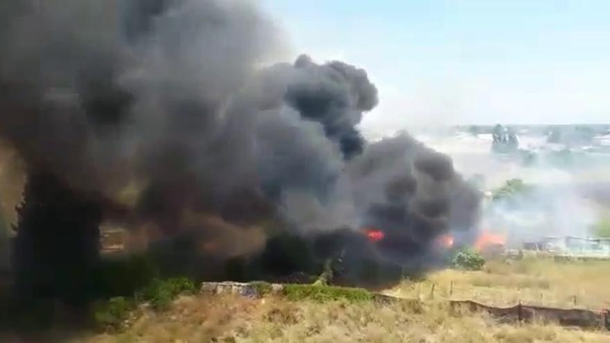 Incendio de matoralles junto al pabellón polideportivo de Benicarló