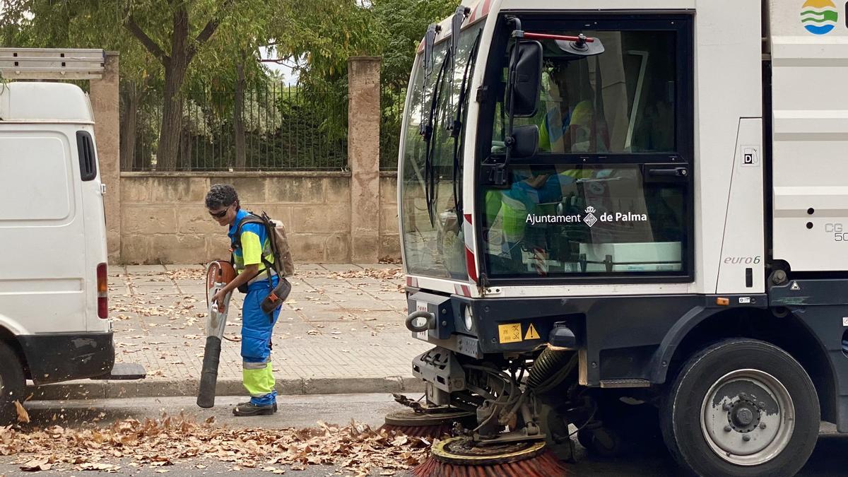 Limpieza de última hora de sumideros y bocas de alcantarilla en Palma, en la calle Avinguda de Mèxic