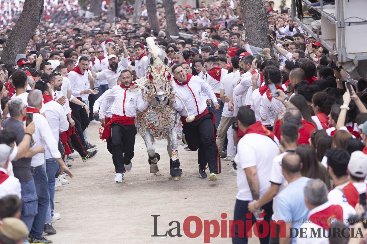Así se ha vivido la carrera de Los Caballos del Vino en Caravaca