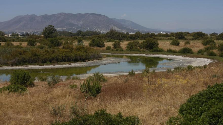 Imagen del río del Guadalhorce tomada desde la orilla del polígono.