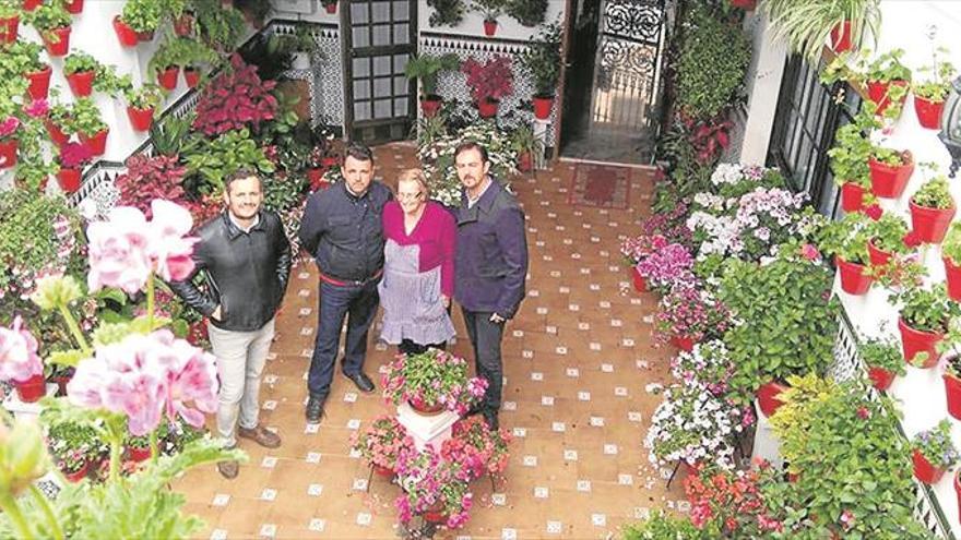 Reconocimientos y premios a los patios egabrenses con distintos galardones