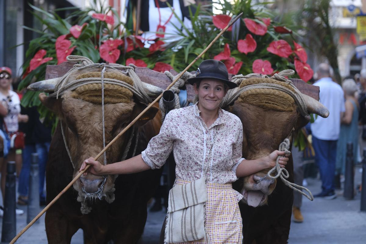 Romería ofrenda a la virgen de La Luz