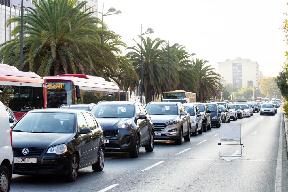 Una mujer de 52 años ha perdido hoy la vida al ser atropellada por un coche en la avenida Pío XII de València.