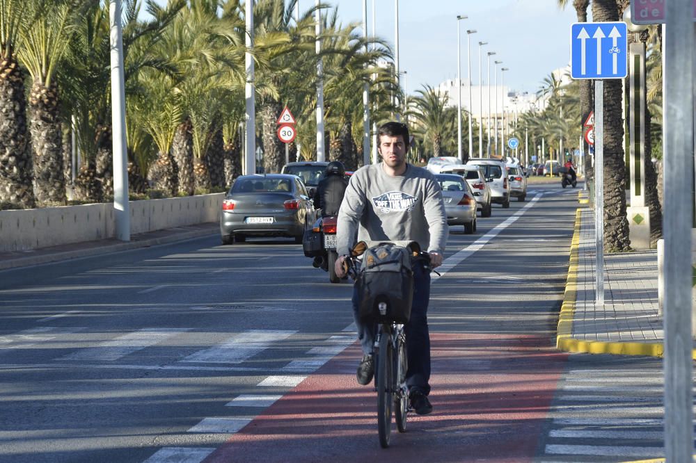 El carril bici en la avenida de la universidad