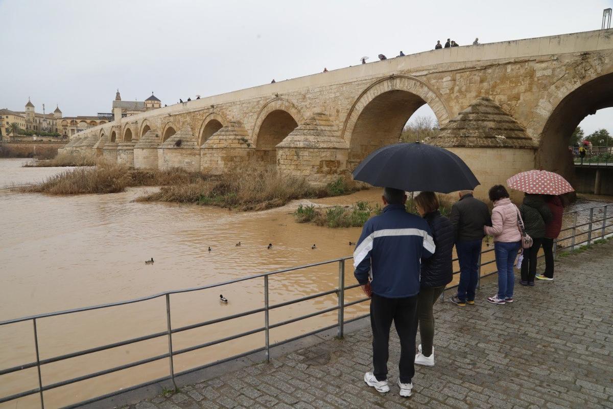 Ciudadanos observan el aumento del caudal del Guadalquivir desde el paseo de La Ribera.