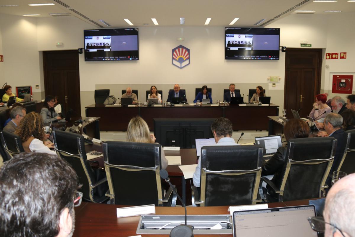 Consejo de Gobierno de la Universidad de Córdoba.