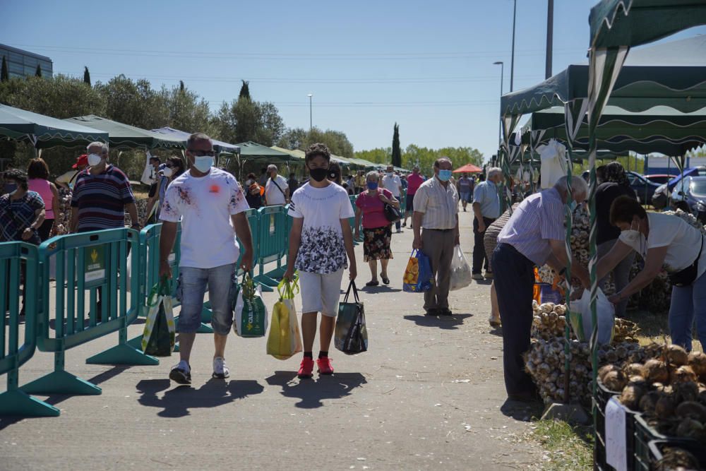 La Feria del Ajo de Zamora, reconvertida en Ifeza