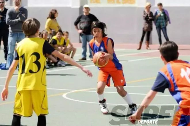 Colegio San Pedro Pascual y Comenius