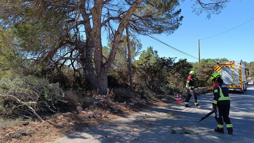 Los bomberos cortan con motosierra dos ramas enormes con riesgo en Ibiza y Formentera