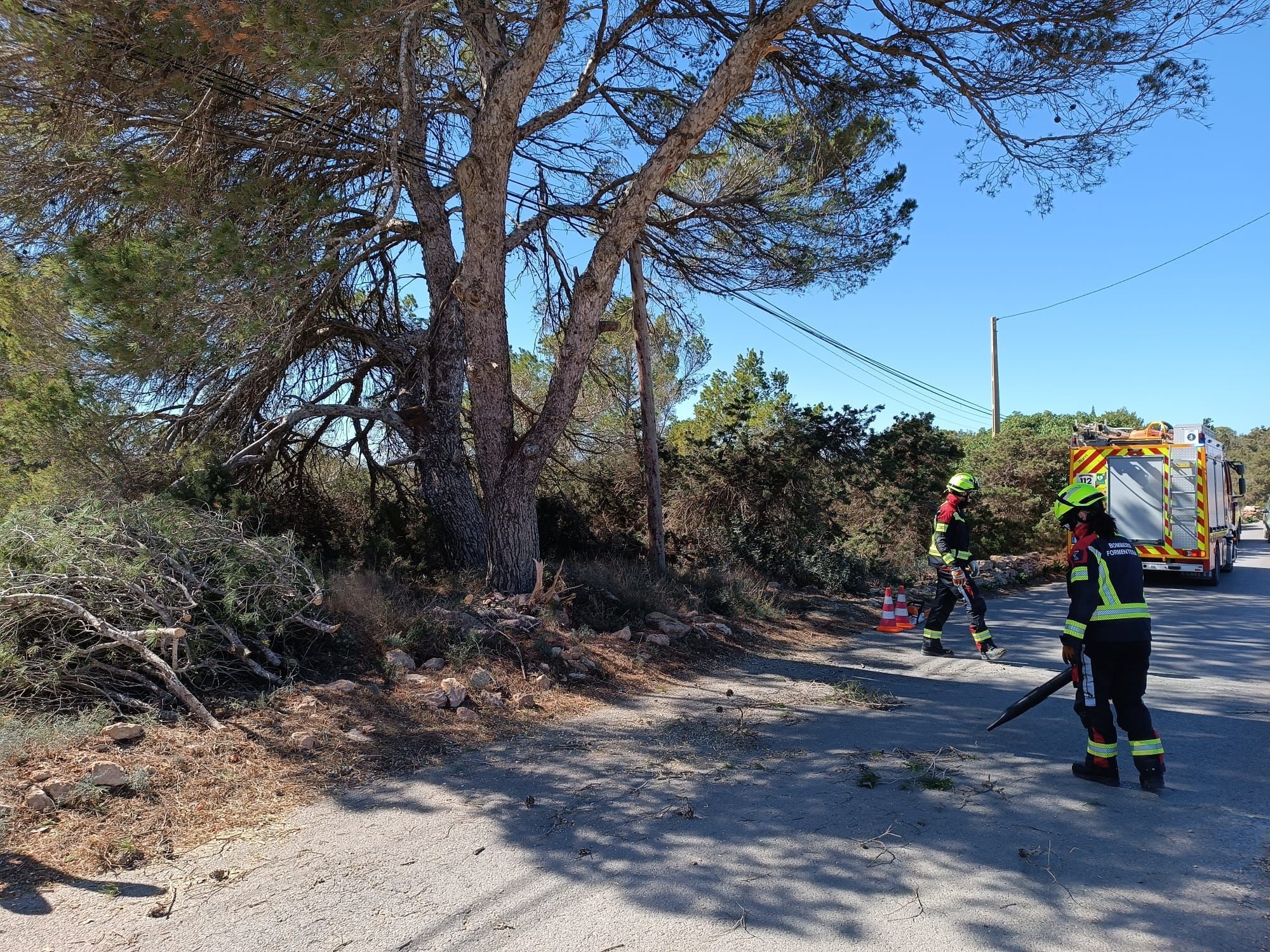 Galería | Los bomberos cortan dos ramas de gran tamaño por riesgo de caída