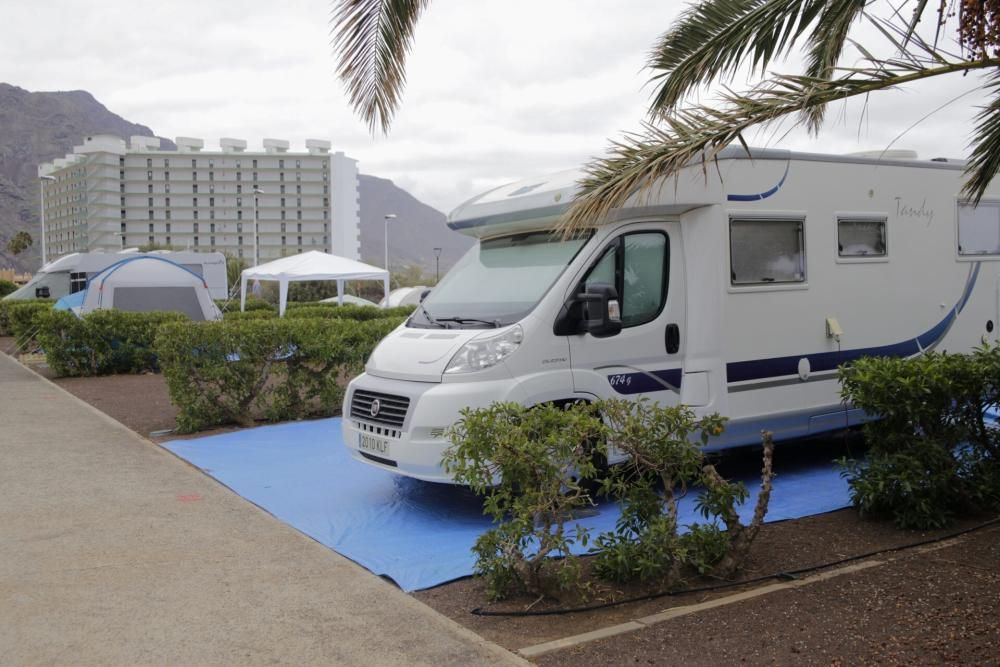 Camping de Punta del Hidalgo - El Día