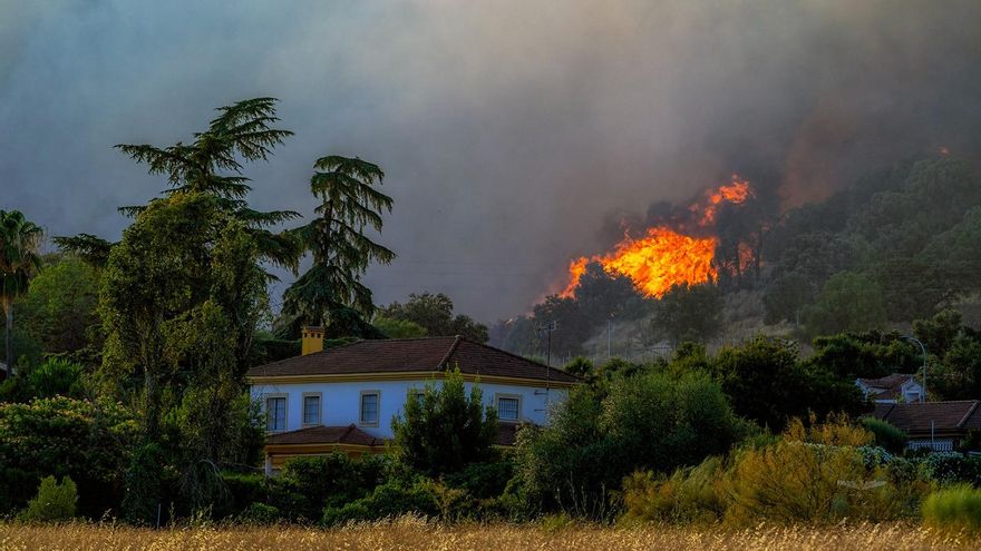 Vivir en zona de riesgo de incendio: "Hay que tener las parcelas lo más limpias posibles"