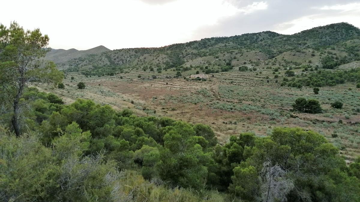 Finca Munuera y Los Pareja, en la pedanía de Gea y Truyols de Murcia