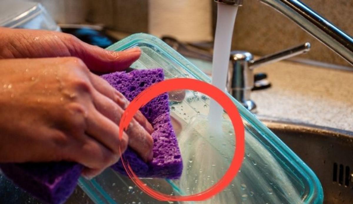 Después de lavar los tuppers, asegúrate de secarlos completamente con un paño limpio o déjalos secar al aire para evitar la proliferación de bacterias.