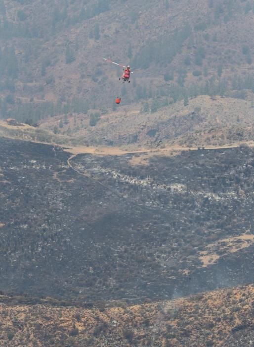 Incendio en Tejeda, Gran Canaria