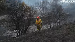 Así fue el incendio de la A-66, a la altura de Cañaveral