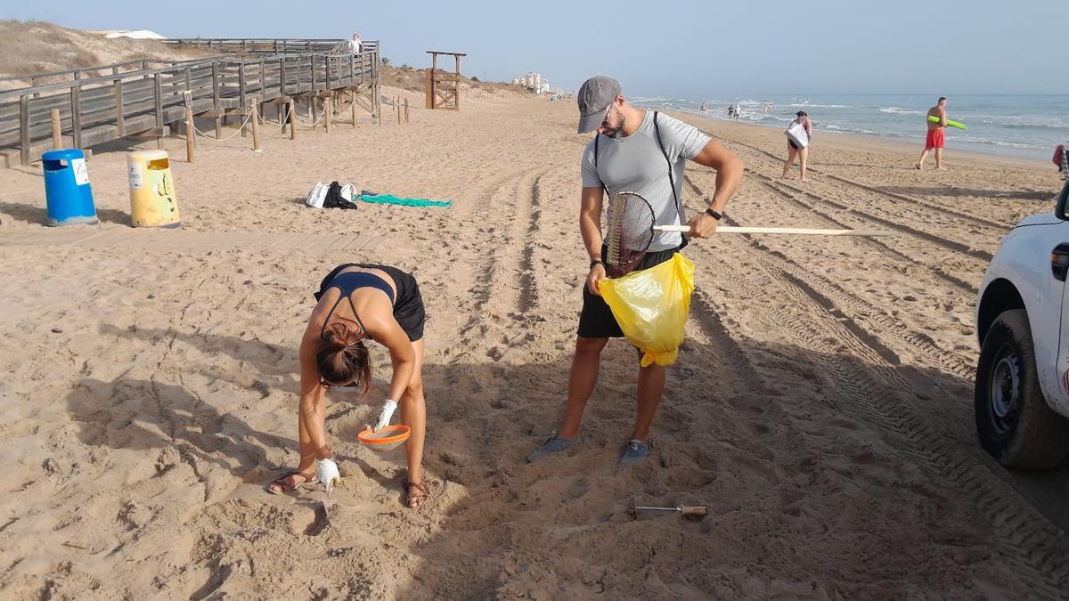 Durante una recogida en el proyecto “1m2 por la DANA”