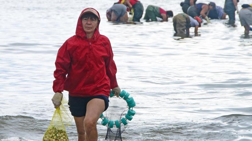 Mariscadoras de Moaña en A Xunqueira.// Gonzalo Núñez