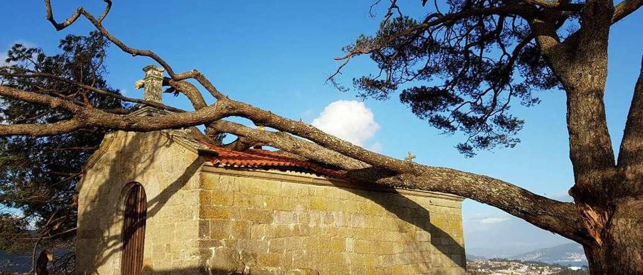 Capilla de San Roque, ayer, con ramas del pino manso aplastando el tejado. // G.Núñez