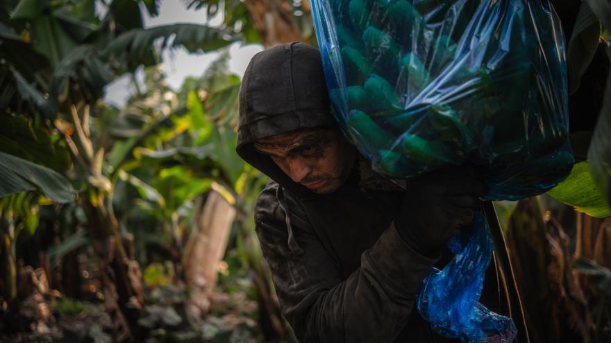 Los plataneros piden escoger la forma de reconstruir las fincas afectadas por la lava en La Palma