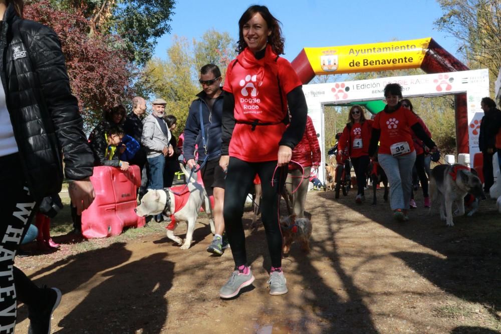 Así ha sido la Doggie Race en Benavente