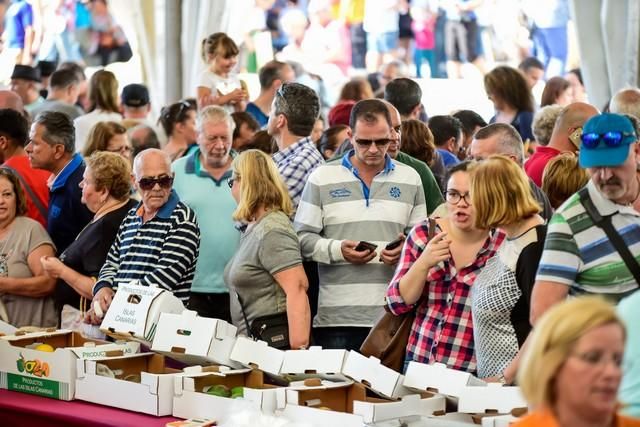 II Feria del Aguacate en Arguineguín