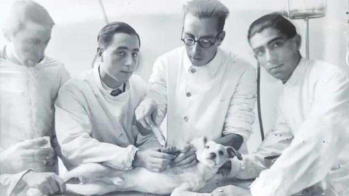 Veterinarios en el pasado.