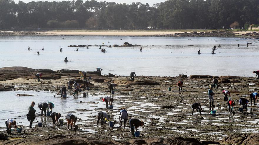 A Illa elige la vía del turismo para la promoción de sus productos y la labor del marisqueo