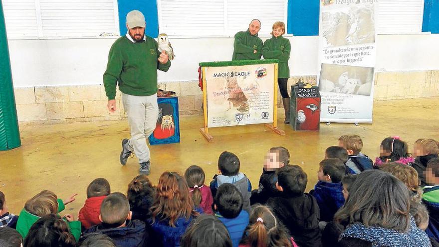 Terapia con aves rapaces para los escolares de Sax