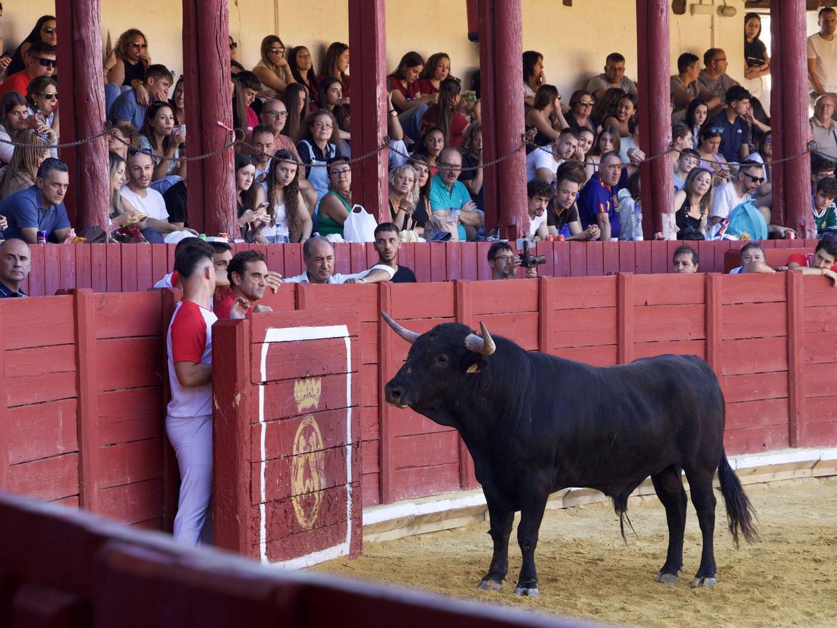Francisco Javier Chacón, de la empresa Toros Puerta Grande