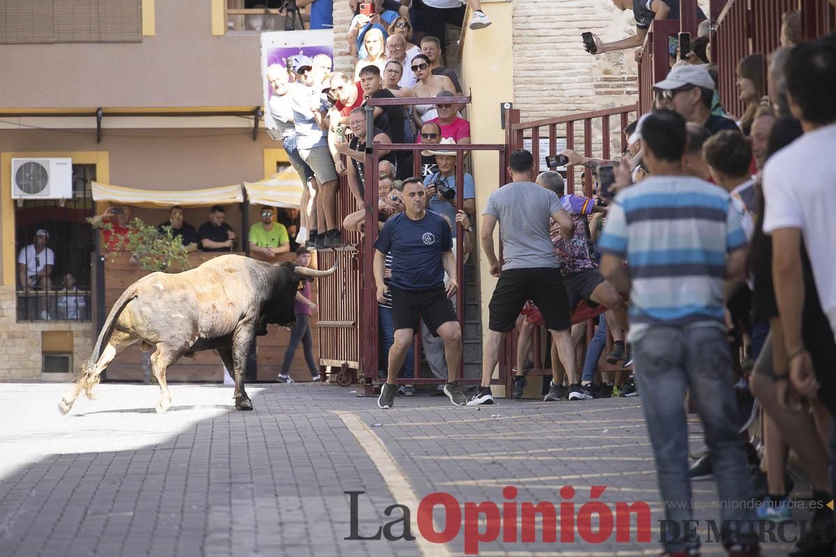 Tercer encierro de las Fiestas de Moratalla