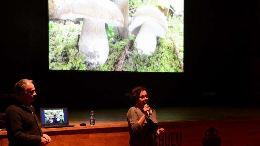 Una de las ponencias del año pasado en el Centro Social do Mar de Bueu. // Gonzalo Núñez