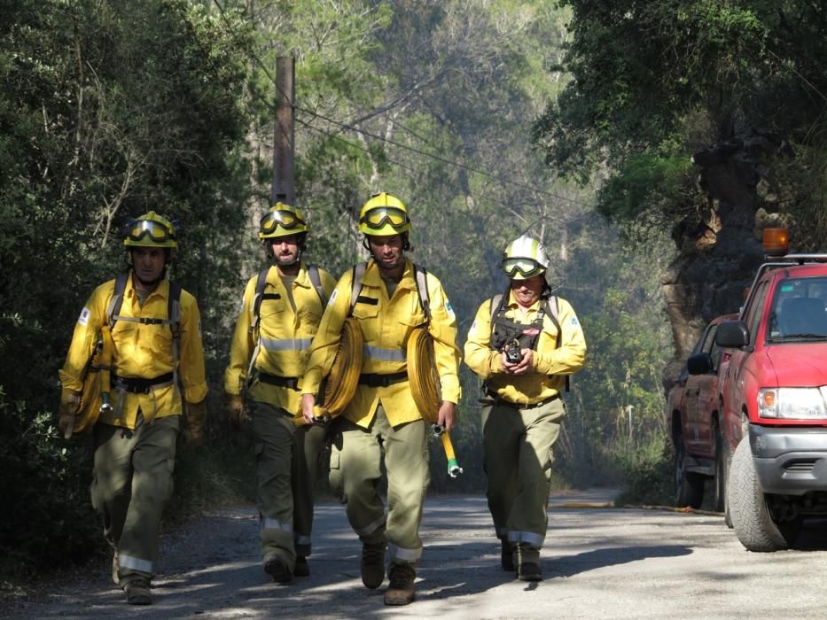 Waldbrand bei Puigpunyent