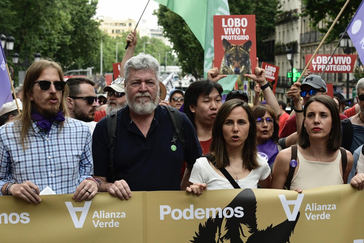 Manifectación en Madrid por la protección del lobo