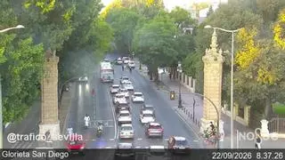 Cae una rama de un árbol de gran porte junto al Teatro Lope de Vega y corta dos carriles de la Avenida María Luisa