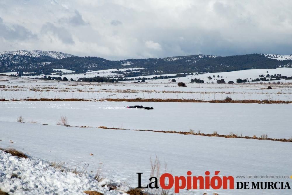 Nieve en el Noroeste