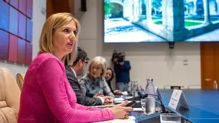 El nuevo decreto de teletrabajo y la actualización del kilometraje para los funcionarios entrarán en vigor a finales de mayo