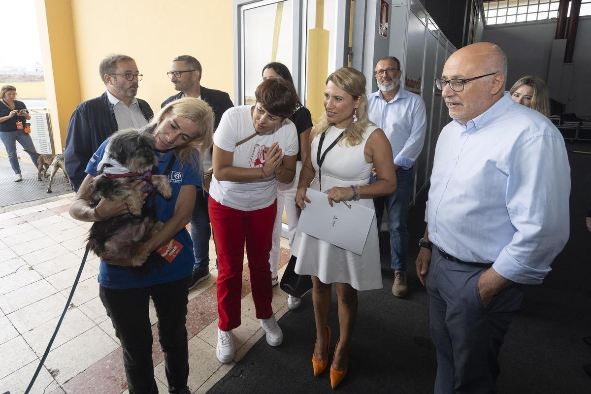 Animundo abre sus puertas en busca de adopciones para toda la vida Animundo abre sus puertas en busca de adopciones para toda la vida
