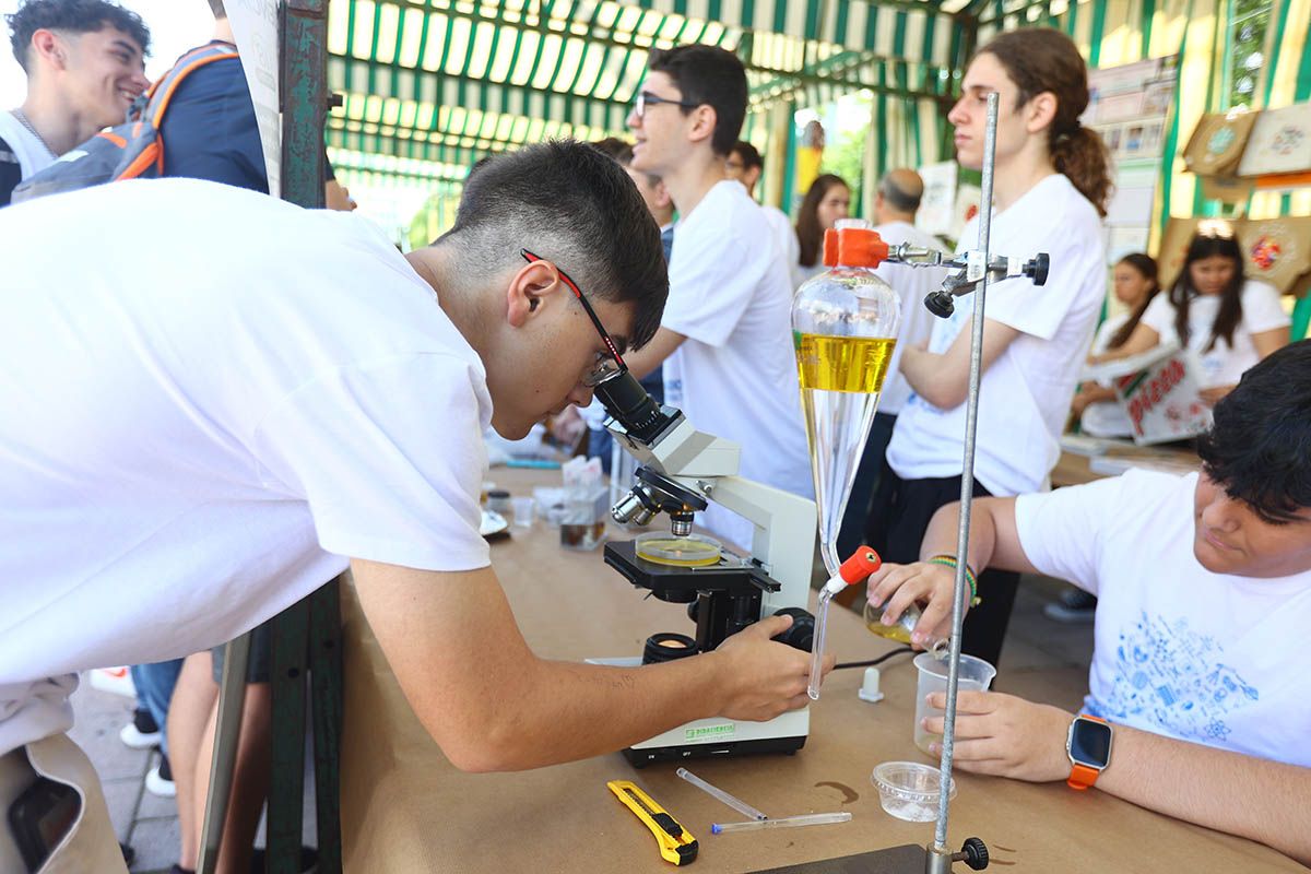 El Paseo de la Ciencia de Córdoba 2024, en imágenes