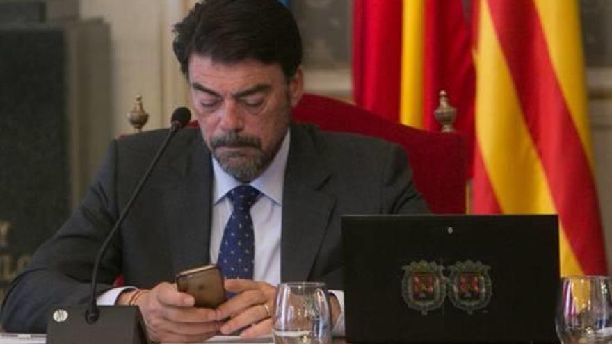 El alcalde de Alicante, el popular Luis Barcala, mira el móvil durante un reciente pleno municipal en el Ayuntamiento.