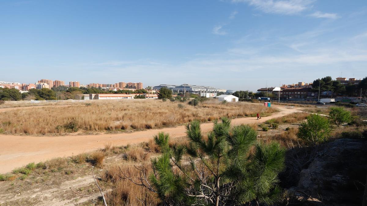 Terrenos cedidos por Paterna a Sanidad para construir el nuevo hospital Arnau.