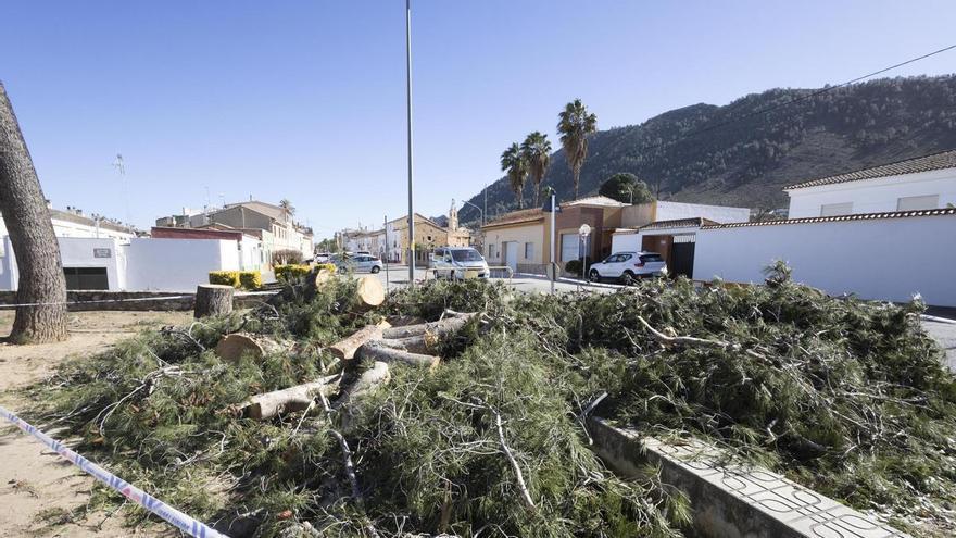 El viento golpea con fuerza la comarca de la Costera