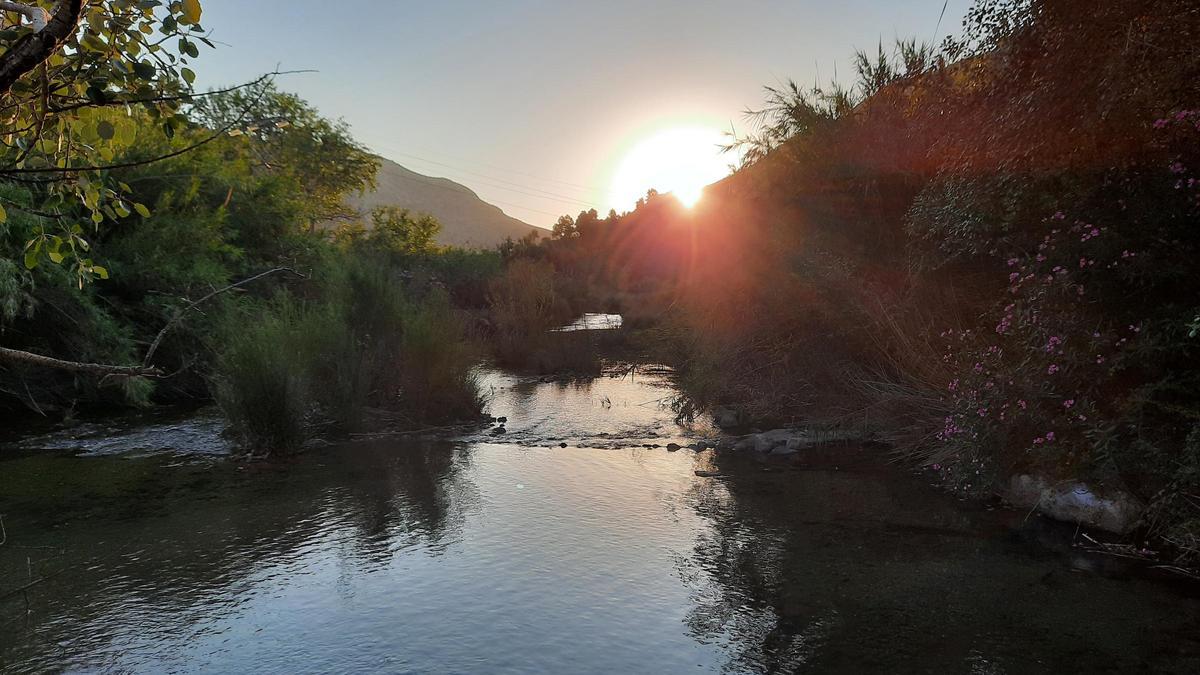 La placidez del río.