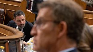 La guerra comercial dispara la tensió entre Vox i el PP