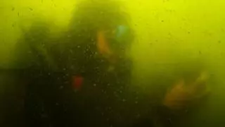Un recorrido en imágenes del fondo del Mar Menor muestra que "nada ha mejorado en cinco años"