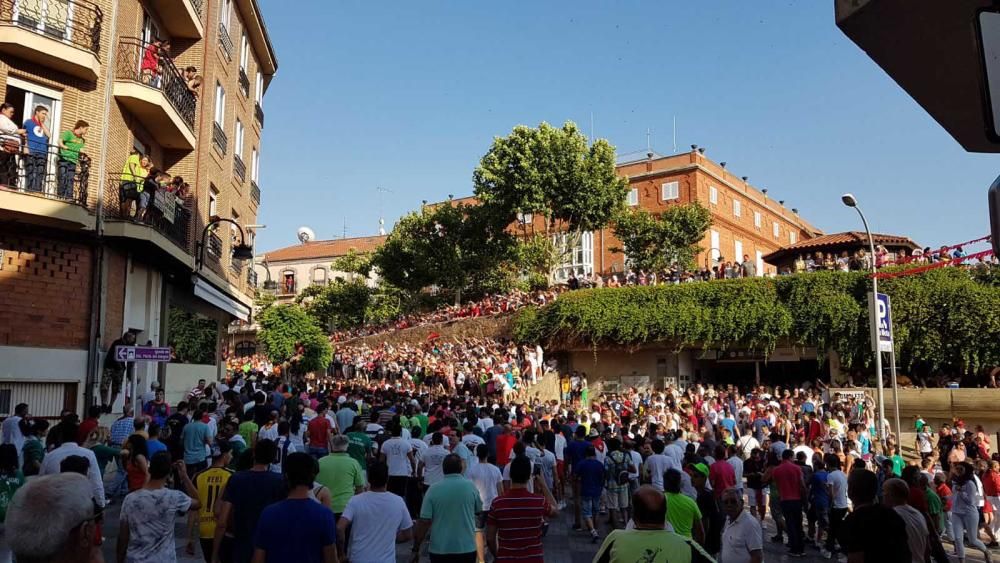 La carrera del Toro Enmaromado 2017 Razonador