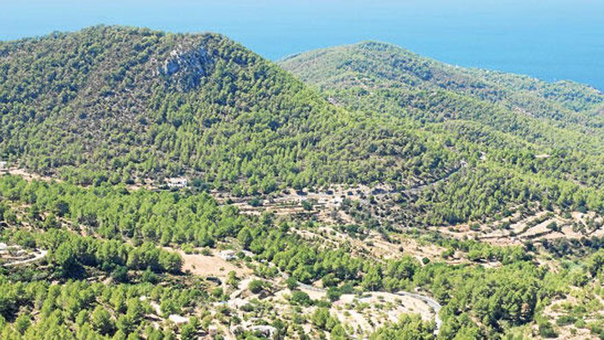 Lo primero que asombra al viajero que sobrevuela la isla, más que las calas y los islotes, es la exuberancia de los bosques